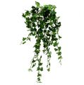 Floristik24 Ivy hängare grön 90cm