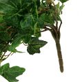 Floristik24 Ivy hängare grön 90cm
