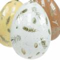 Floristik24 Påskägg att hänga med motiv ägg och fjädrar vita, bruna, gula diverse 3st