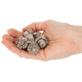 Ekollon, naturprodukt för dekoration, vitkalkade, 1-3 cm, 300 g | Floristik24.se