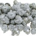 Floristik24 Dekorativa ekollon silver, adventsdekoration, naturliga höstfrukter, hus på landet Ø1,5 - 2,5 cm L1,5 - 3 cm 300g