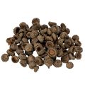 Floristik24 Naturliga ekollonhattar, dekorativa skålar för höst och advent, 2 cm, 300 g