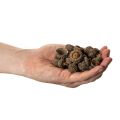 Naturliga ekollonhattar, dekorativa skålar för höst och advent, 2 cm, 300 g | Floristik24.se