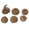 Naturliga ekollonhattar, dekorativa skålar för höst och advent, 2 cm, 300 g | Floristik24.se