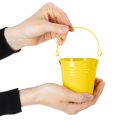 Färgglada hinkar, Ø8cm H7,5cm, 12 stycken | Floristik24.se