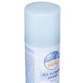 Isblomspray Dekorativ spray för fönster och vinterdekorationer på glas 150 ml | Floristik24.se