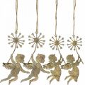 Floristik24 Ängel med maskros, juldekoration, dekorativt hänge, metalldekoration gyllene antik look H16/15cm 4st