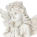 Ängelfigur bedjande, gravdekoration, sittande, 13 cm, 2 stycken | Floristik24.se