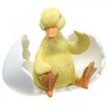 Floristik24 Kläckt kyckling, ankfigur, ankunge i ägg H10cm B12,5cm