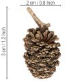 Alkottar, naturprodukt för dekoration och hantverk, guld, 3 cm, 300 g | Floristik24.se