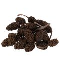 Floristik24 Naturliga alkottar, lösa, för dekoration, 3 cm, 300 g, naturbrun.