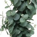 Floristik24 Eukalyptus i kruka konstgjord växt Konstgjord växtdekoration H87cm