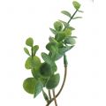 Floristik24 Konstgjord eukalyptusgren grön 37cm 6st