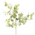 Floristik24 Konstgjord eukalyptusgren med runda blad, 75 cm, 4 stycken