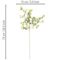Konstgjord eukalyptusgren med runda blad, 75 cm, 4 stycken | Floristik24.se