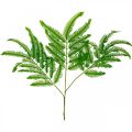 Floristik24 Ormbunke blad gröna, ormbunke 3 blad på gren, Milkweed L96cm