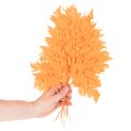 Torkade och konserverade ormbunksblad för blomster- och höstdekorationer, 42 cm, 10 stycken | Floristik24.se