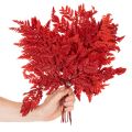 Ormbunkar, konserverade och färgade, äkta ormbunkar för höstarrangemang, 42 cm, 10 stycken | Floristik24.se
