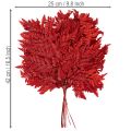 Ormbunkar, konserverade och färgade, äkta ormbunkar för höstarrangemang, 42 cm, 10 stycken | Floristik24.se