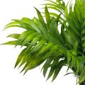 Floristik24 Palmblad palmträd dekoration konstgjorda växter grön 30cm 3st