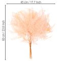 Torkade ormbunksblad, ormbunksdekoration för vaser, 60 cm, 10 stycken | Floristik24.se