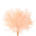 Torkade ormbunksblad, ormbunksdekoration för vaser, 60 cm, 10 stycken | Floristik24.se