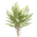 Floristik24 Konstgjord ormbunksgrann, dekorativ grön växt för blomsterarrangemang, 80 cm