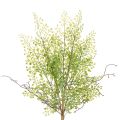 Floristik24 Konstgjord grön Ruscus-gren för blomsterdekoration, 41 cm