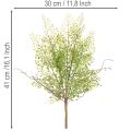 Konstgjord grön Ruscus-gren för blomsterdekoration, 41 cm | Floristik24.se