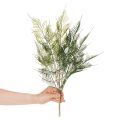 Konstgjord ormbunksdekoration, grön, naturtroget, 56 cm | Floristik24.se