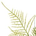 Konstgjord ormbunksdekoration, grön, naturtroget, 56 cm | Floristik24.se