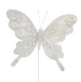 Floristik24 Fjäderfjäril vit med glimmer 11cm 3st