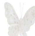 Floristik24 Fjäderfjäril vit med glimmer 11cm 3st