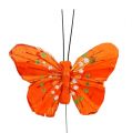 Floristik24 Fjäderfjärilar 6cm gul, orange 24st