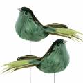Floristik24 Fjäderfågel på tråd grön 12cm 4st