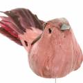 Floristik24 Fjäderfågel på tråd rosa 12cm 4st
