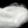 Floristik24 Fairy hair ängelhår vit glansigt 50g