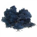 Floristik24 Deco mossblå torrmossa för hantverk färgad 500g