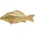 Floristik24 Dekorativ fisk guldfärgad staty att stå Fiskskulptur Polyresin Liten L18cm