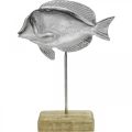 Floristik24 Fisk att placera, maritim dekoration, dekorativa fiskar av metall silver, naturliga färger H23cm