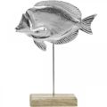 Floristik24 Dekorativ fisk, maritim dekoration, fisk av silvermetall, naturlig färg H28,5cm
