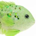 Floristik24 Dekorativ fisk för hängande grön rosa orange blå 13-24cm 6st