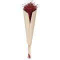Lin Bordeauxröd torkad dekoration torkade blommor L55cm 80g | Floristik24.se
