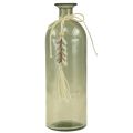 Floristik24 Flaskor dekorativ glasvas cowrieskal maritima H26cm 2st