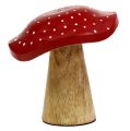 Floristik24 Toadstool Wood Mushroom Mix 9cm -10,5cm Red, Natural 8st