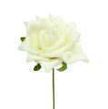 Skumros Ø7,5cm Creme 18 st | Floristik24.se