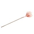 Floristik24 Skumblomma magnolia rosa Ø15cm L65cm
