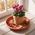 "Linda" fat Ø20cm terrakotta | Floristik24.se