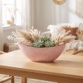 Dekorativ skål växtskål rosa 34cm x 11cm H11cm | Floristik24.se