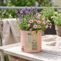 Blomkruka dekorativ burk laxfärgad metall sommardekoration Ø11cm H10.5cm | Floristik24.se